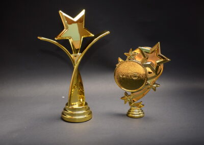 ชุบแวคคั่ม ชุบสูญญากาศ